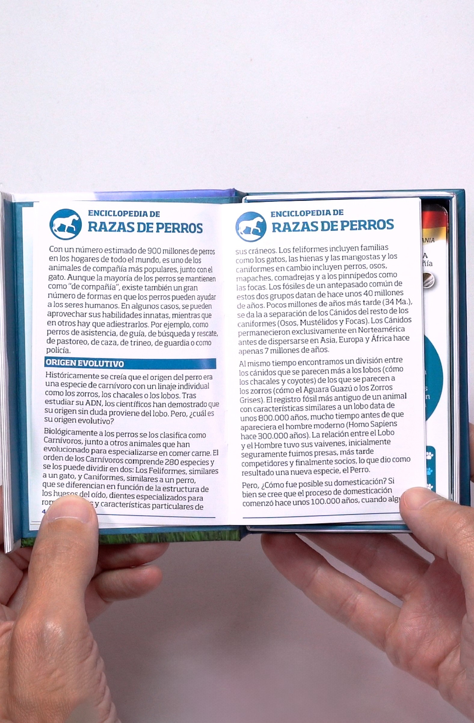 Descripción de la imagen 1